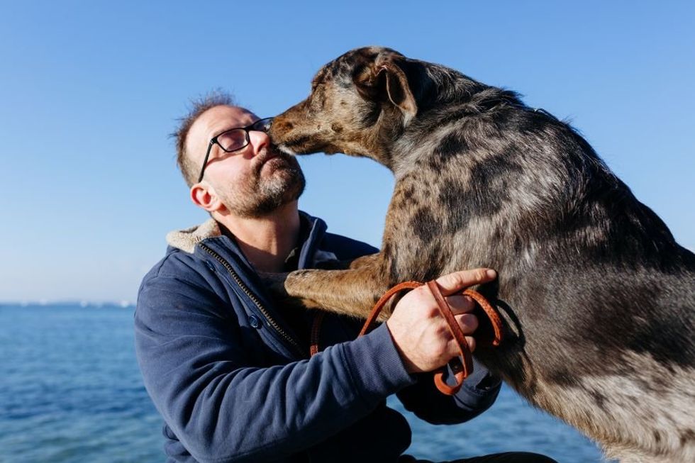 Grieving son travels 2,650 miles to Mississippi Humane Society to rescue parent’s dog