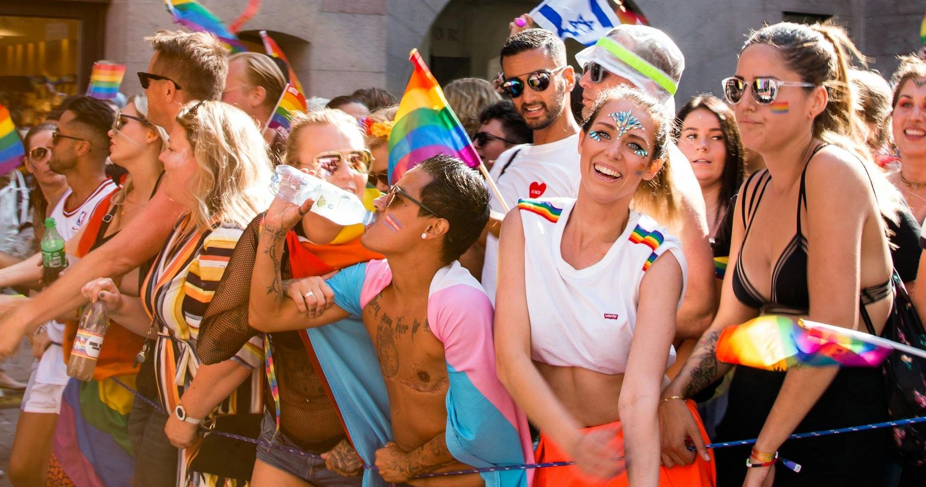 lgbtq, gay animals, sexuality research