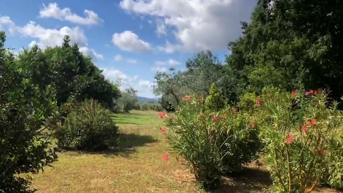 Le pillole di galateo di Petra e Carlo: le regole nel bosco