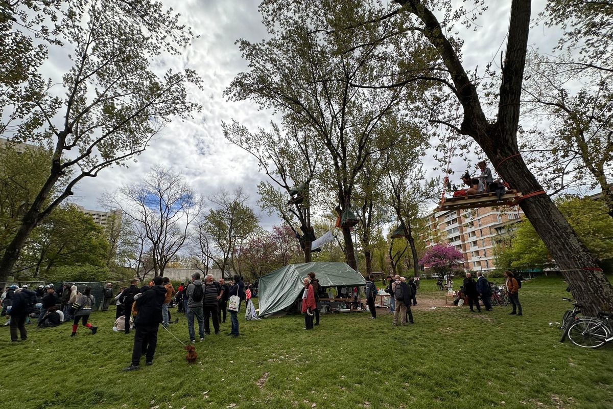 Sotto scorta gli assessori di Bologna «colpevoli» di aver tagliato gli alberi