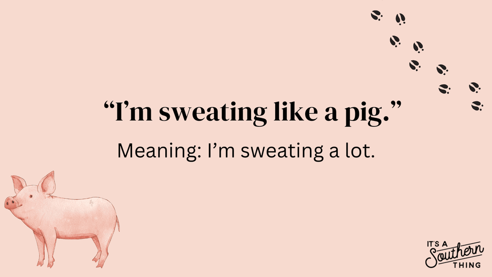 15 Southern sayings about pigs we all grew up hearing - It's a Southern ...
