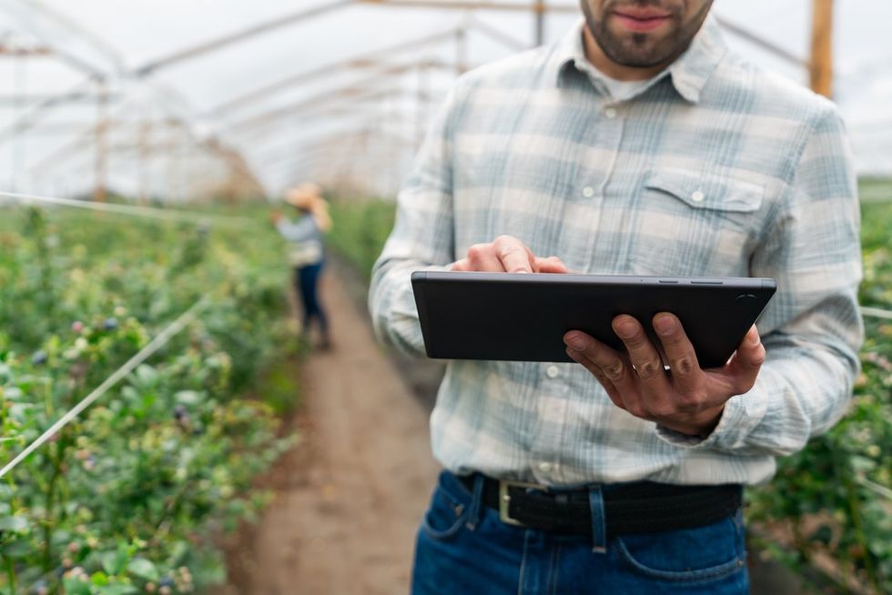 a man checking his order in a nursery on a tablet