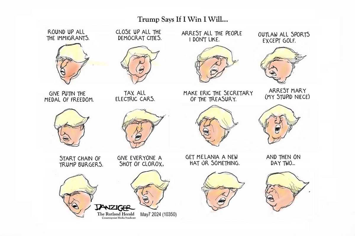 Danziger Draws