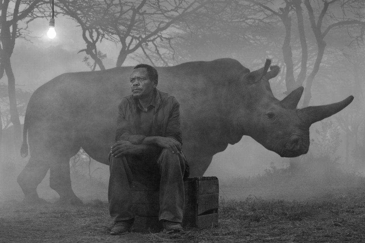 Eyeland l'isola delle arti anima Taranto