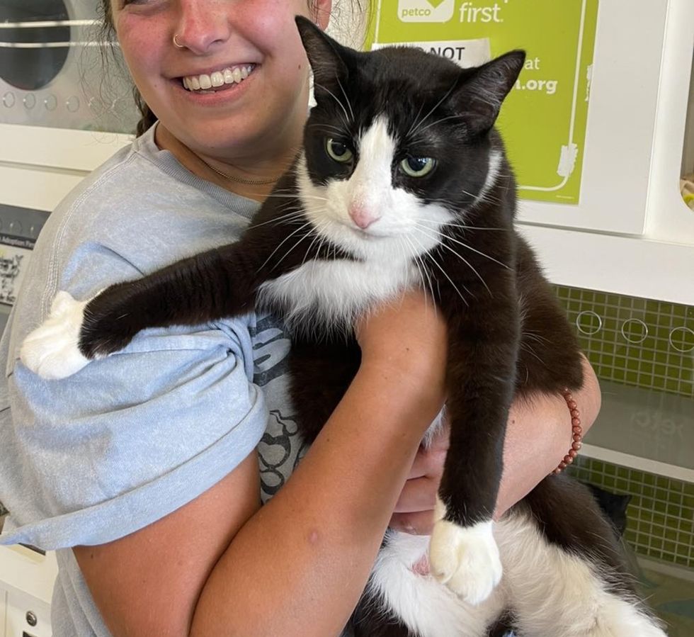 tuxedo cat adopted