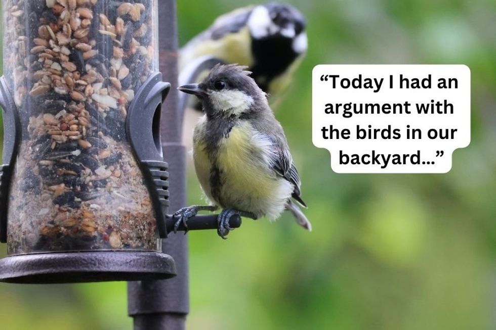 A hilarious 'confession' has people opening up about their own 'life in your 40's' moments