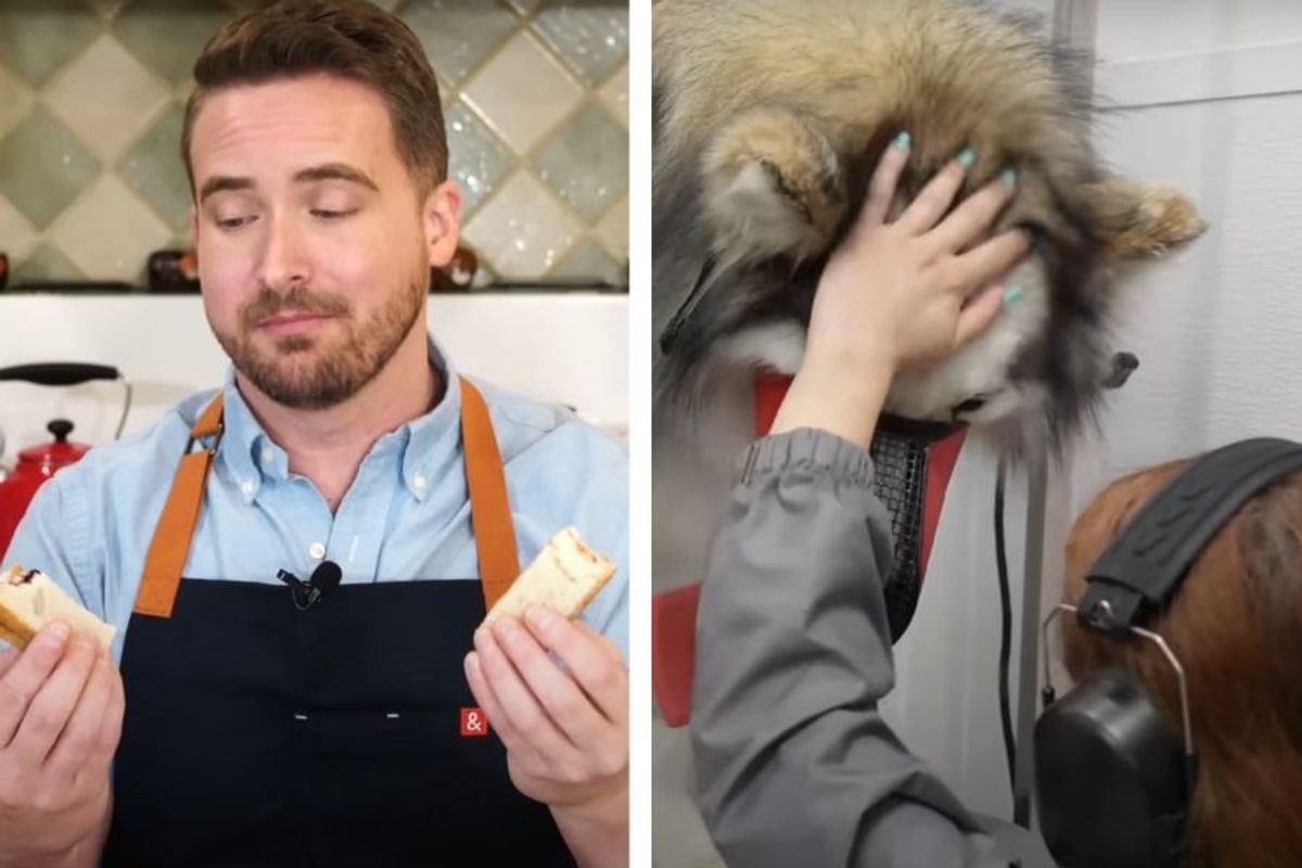 best youtube shows, tasting history, youtube, girl with the dogs