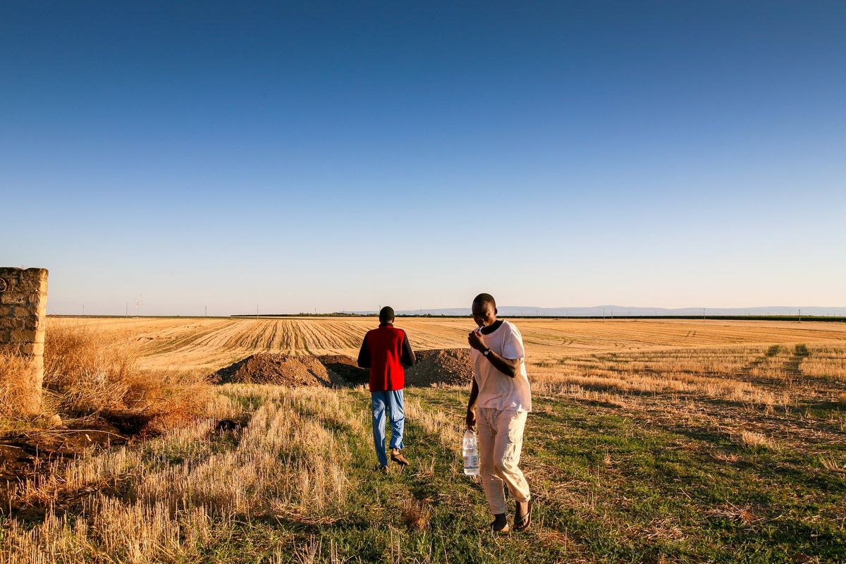 Soldi dei migranti alle mafie per lavori fasulli
