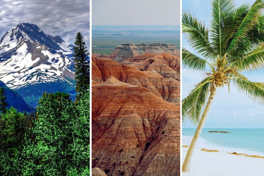 mountains, badlands and palm tree at the beach