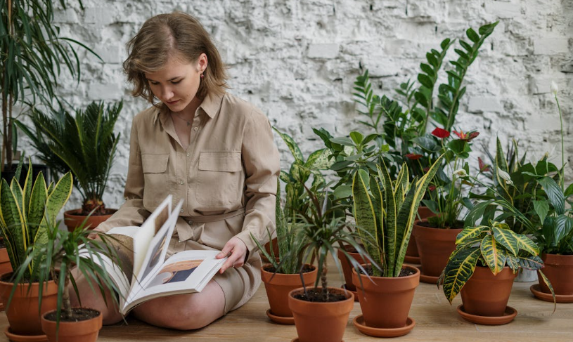 gardening, learning a skill, nueroscience