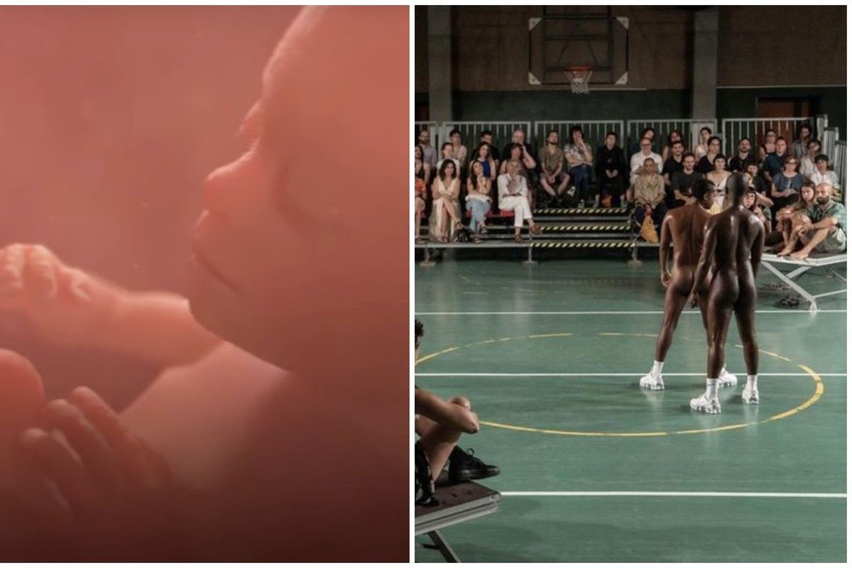 Un embrione minaccia l’utopia trans. I progressisti non tollerano la realtà