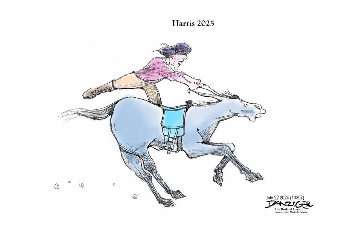 Danziger Draws