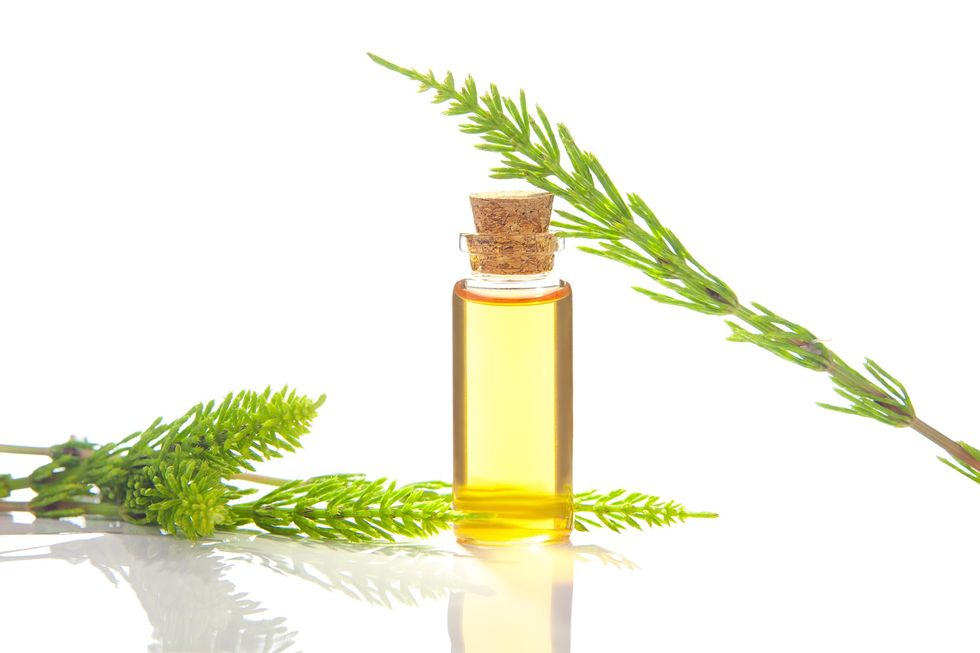 Horsetail-plant-oil