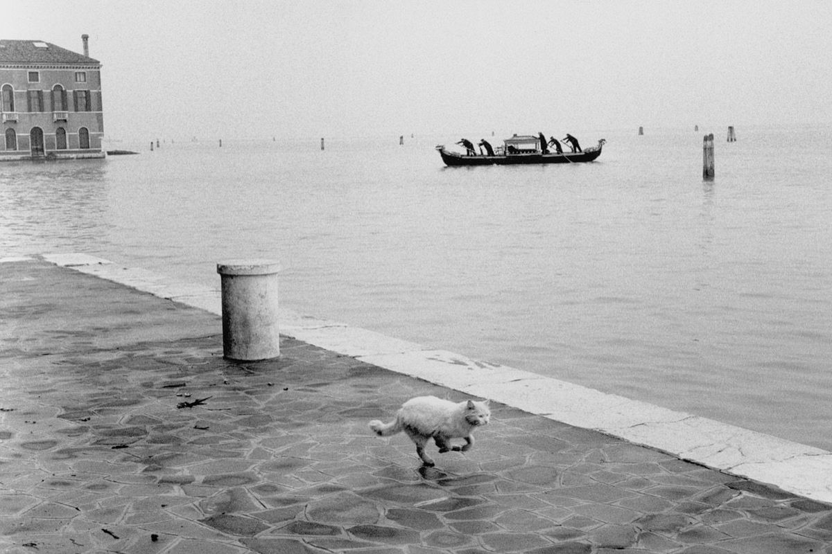 Gianni Berengo Gardin in mostra ad Alessandria