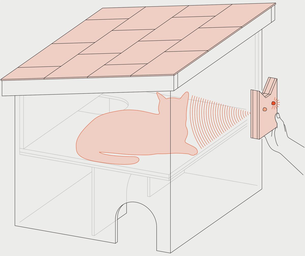 Detect Feral Cats Inside Shelters With Pulsed Radar - IEEE Spectrum