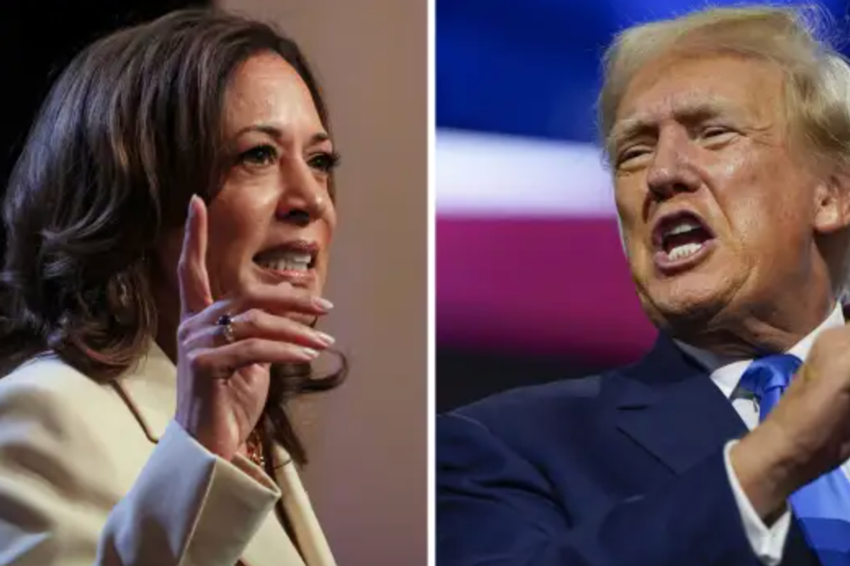 Trump, Harris