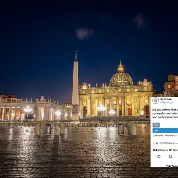 «La Chiesa del futuro è sinodale?». Orde di «No» e il sondaggio sparisce