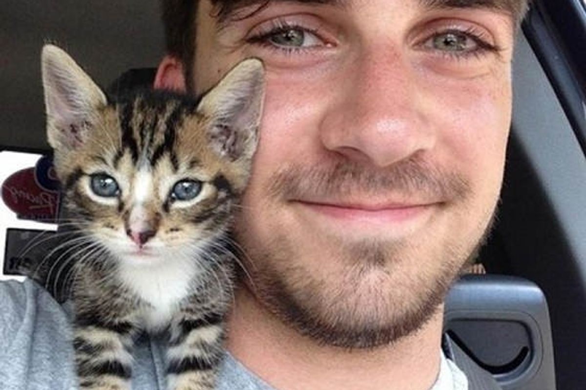 Kitten Clings to Her Rescuer on His Shoulder After He Saved Her