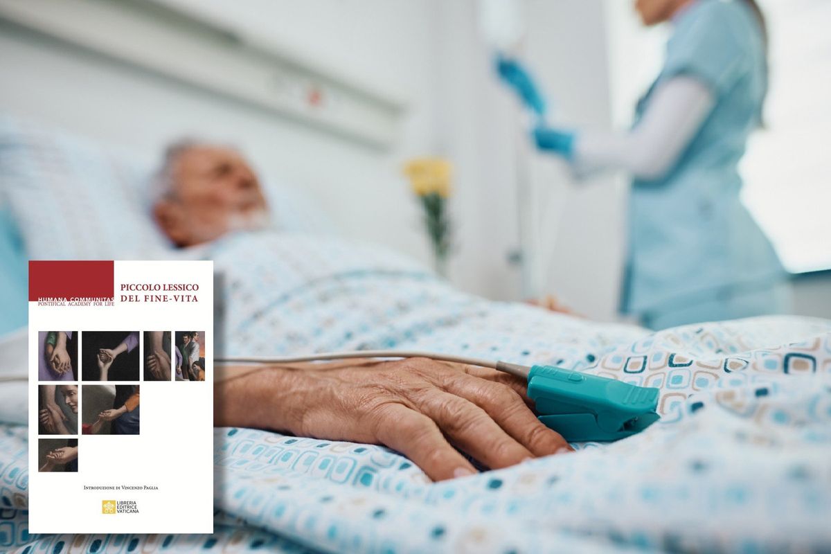 La Pontificia accademia per la vita apre una crepa sull’eutanasia