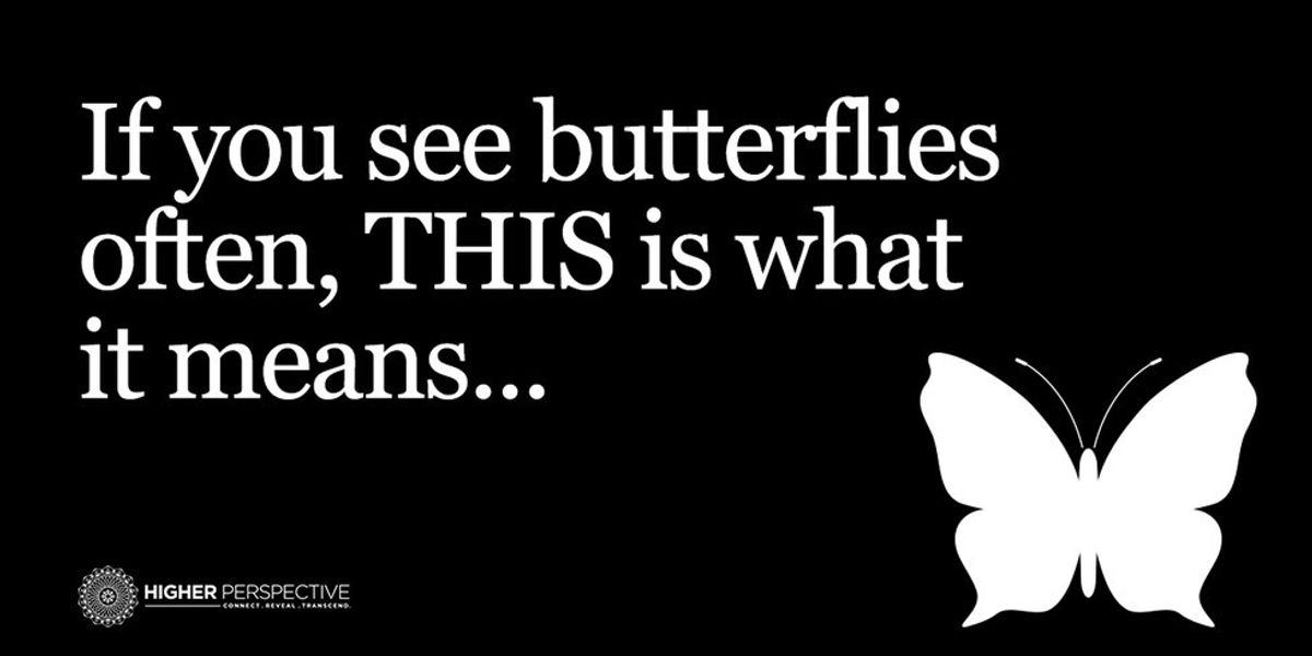 Do You See Butterflies Often? THIS Is What It Means Higher Perspective
