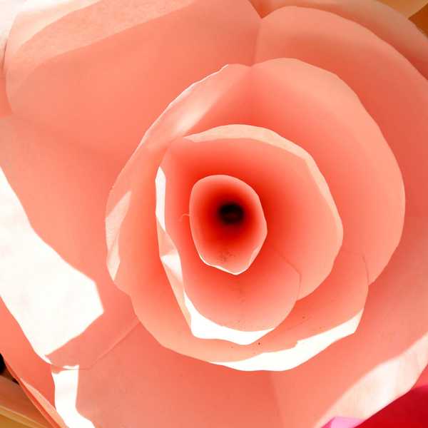 What Is Your Vaginal Microbiome? How Does It Affect Your Overall Health?