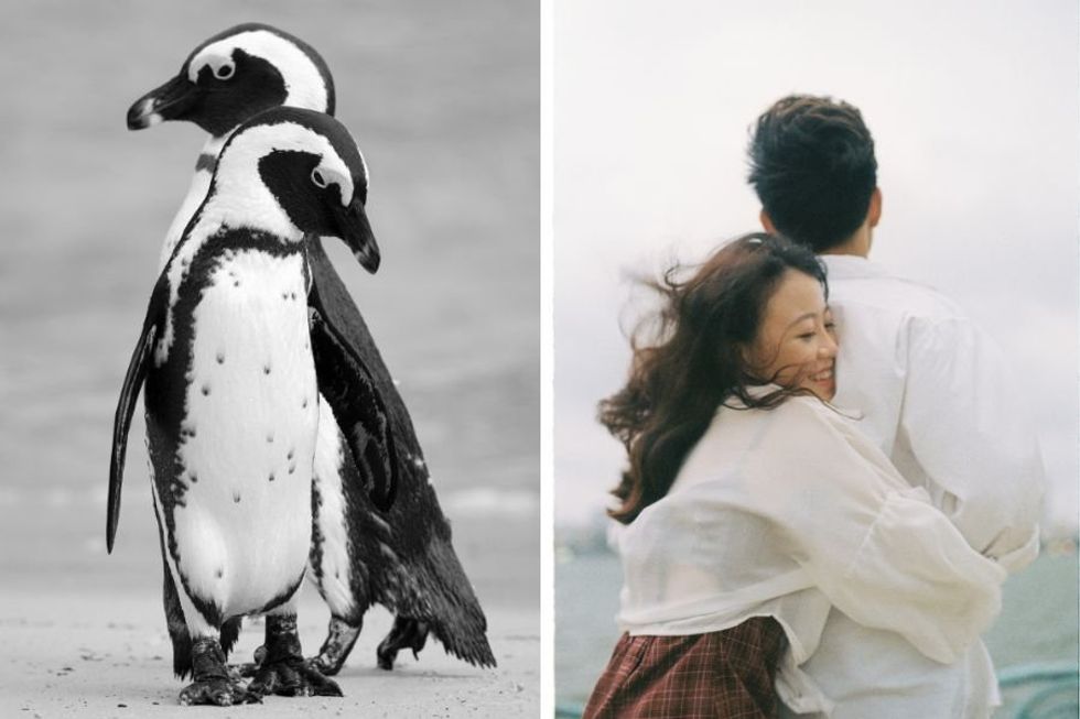 Man pleas for guys to watch the 'pebble' videos women share with them in relationships