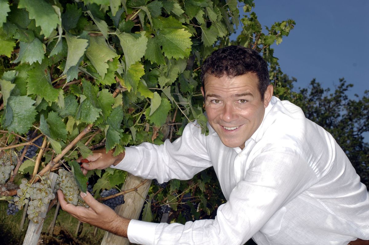 «L’Italia tornerà prima nel produrre vino. Ma l’Ue freni il green»