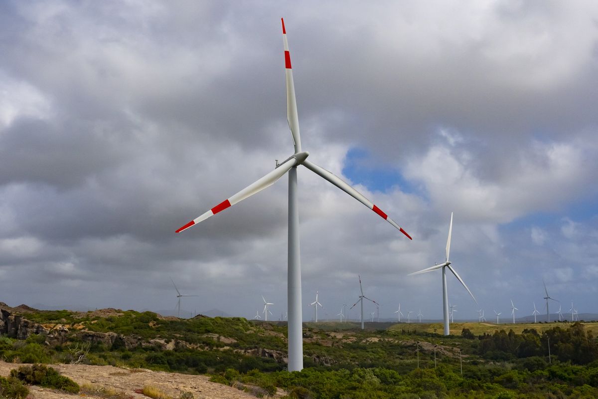 I trucchi della cricca green per decidere chi pubblica sulle riviste «scientifiche»