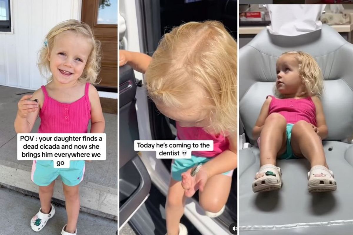 toddler carrying around a dead cicada