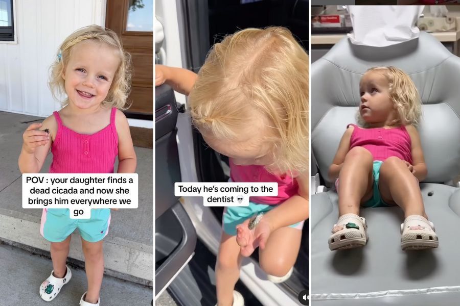 toddler carrying around a dead cicada