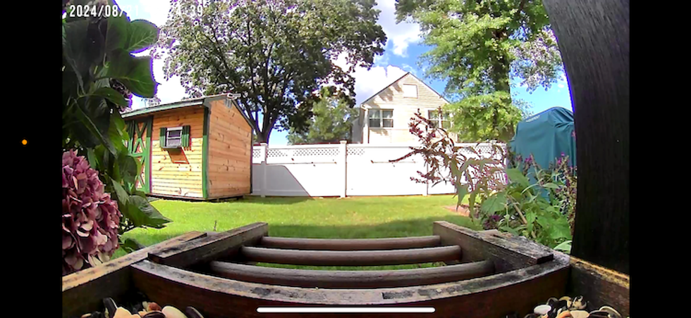 a photo from Birdfy smart bird feeder showing 155 degree field of view during the daytime.