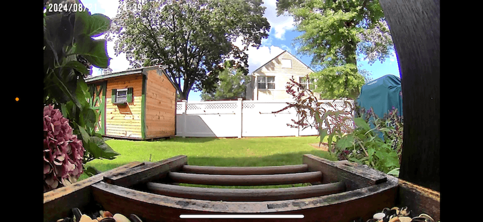 a photo from Birdfy smart bird feeder showing 155 degree field of view during the daytime.