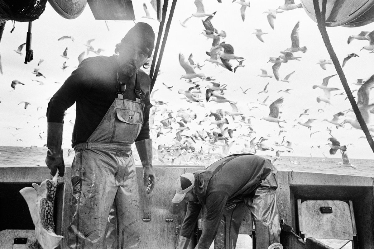 Ragusa Foto Festival