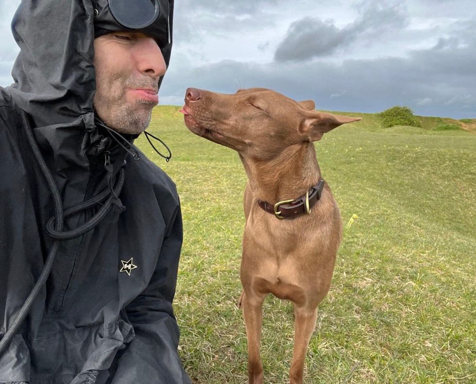 Thai sanctuary shocked when dog abandoned for being 'ugly' adopted by Oasis' Liam Gallagher