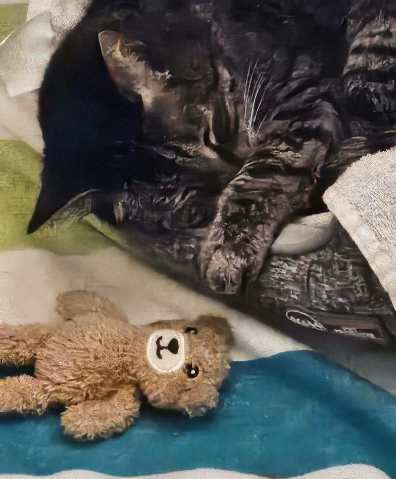 sleeping cat teddy bear