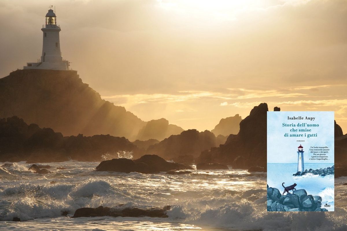 Il mistero dell’isola che fa scomparire i problemi della città, ma anche i gatti