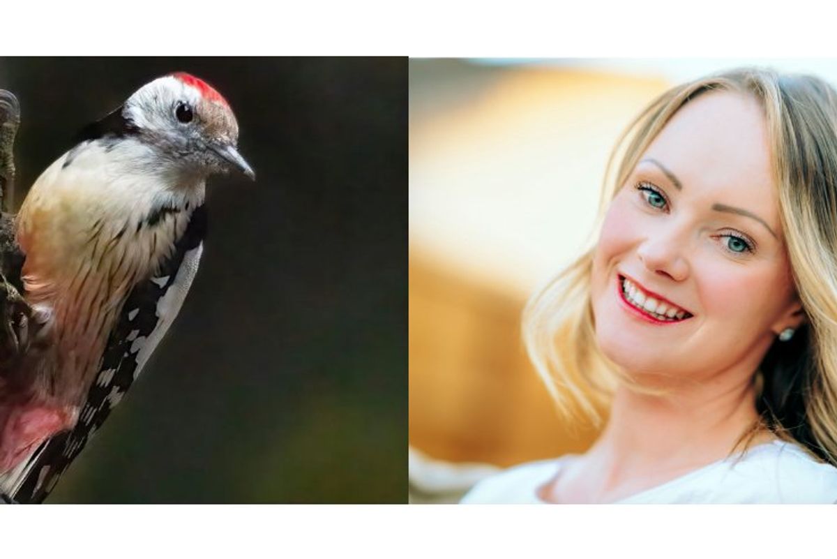 dating, dating red flags, dating apps, bird test, john gottman, bids for connection