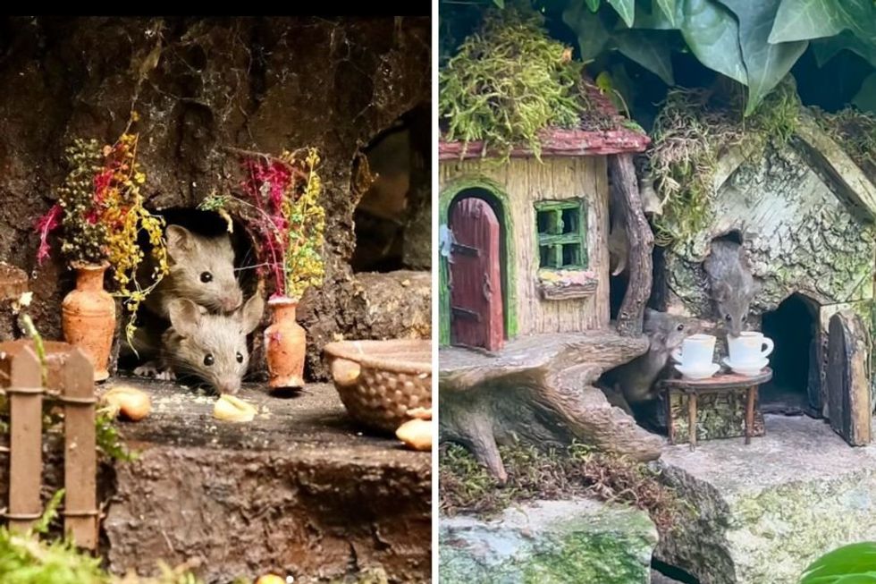 U.K. man builds elaborate mouse village in his garden to make his dad with dementia smile