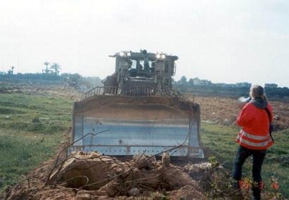 rachel corrie, gaza, maya angelou