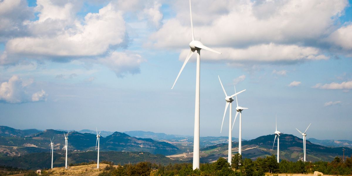 Crociata degli intellò contro le pale eoliche: il green è molto chic, se non tocca casa loro