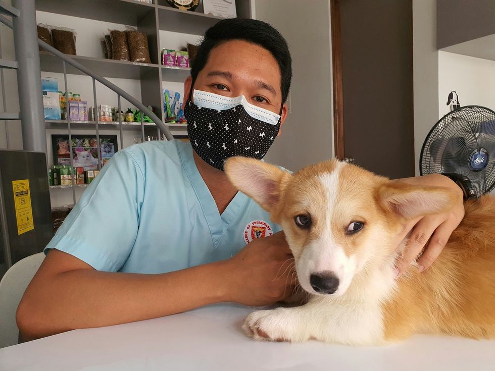 4 heartbreaking reasons your veterinarian is not ok and what's being done to make things better