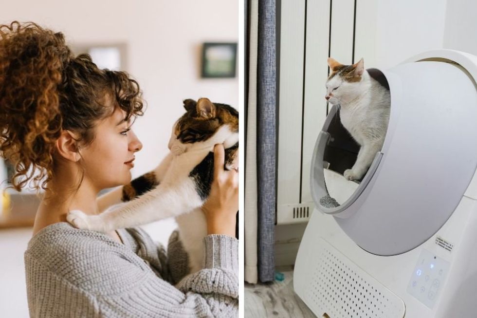 Upset cat owners are warning about dangerous 'knock off' automatic litter boxes