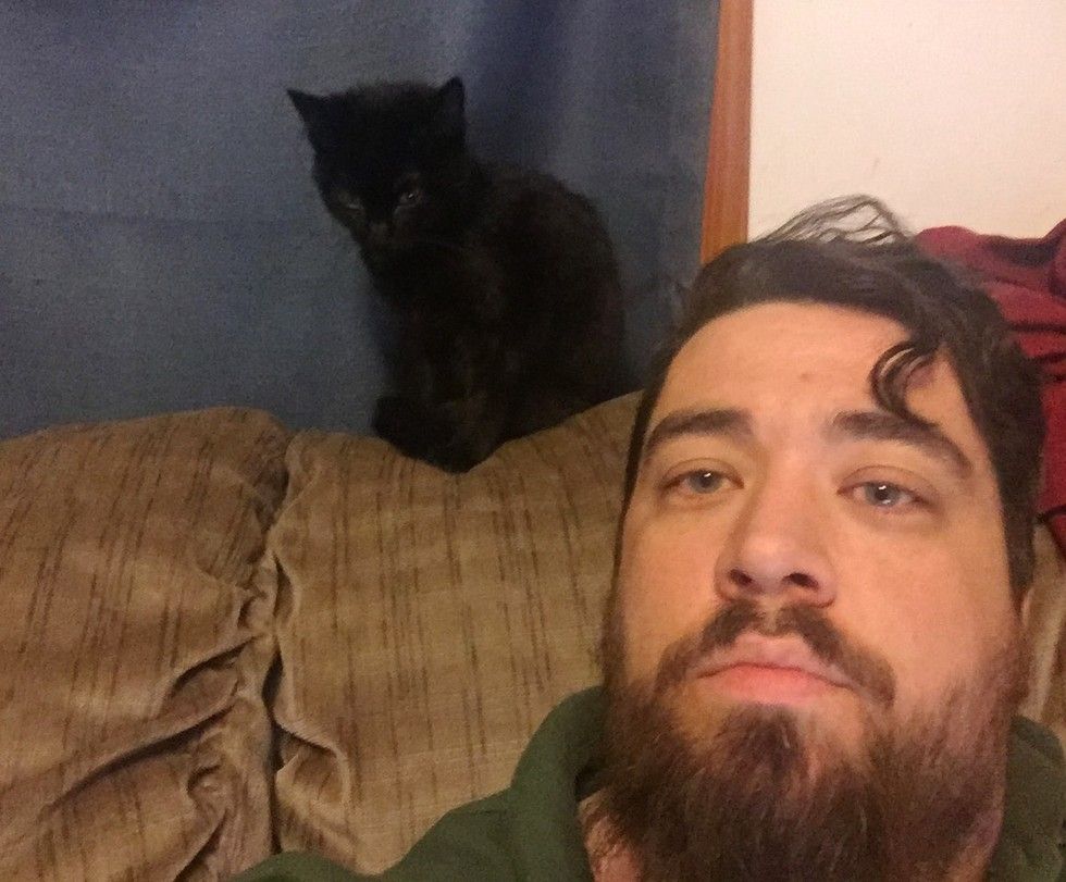 Man Saves Kitten, and She Immediately Claims Him As Family - Love Meow