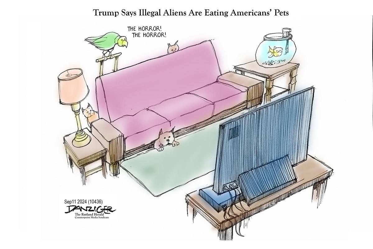 Danziger Draws