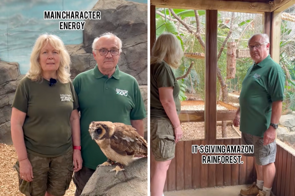 Boomer zookeepers in England read ridiculous TikTok scripts written by their Gen-Z staff