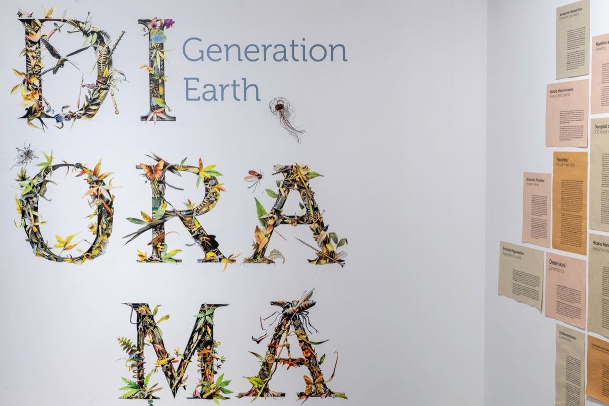 DIORAMA.Generazione Terra. Al MAN di Nuoro