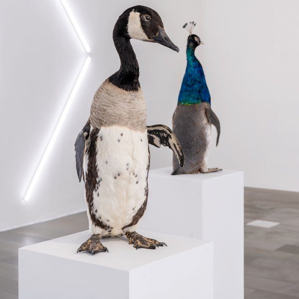 DIORAMA.Generazione Terra. Al MAN di Nuoro