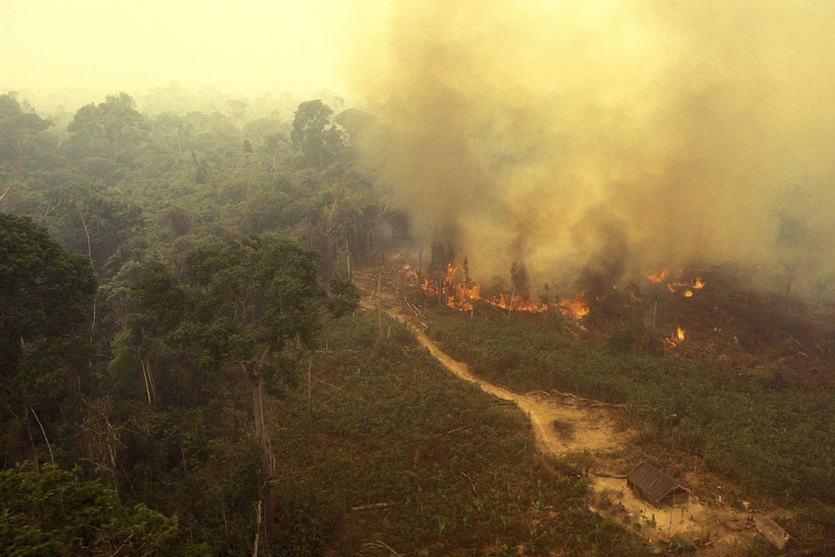 Roghi, disboscamenti, un’autostrada. Così il verde Lula sfigura l’Amazzonia
