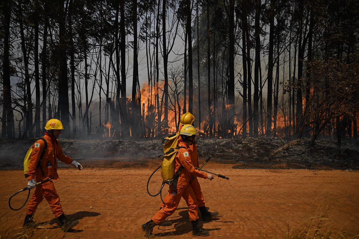 Brucia il Brasile, si fa verde il Sahara ma non è l’uomo che cambia la natura