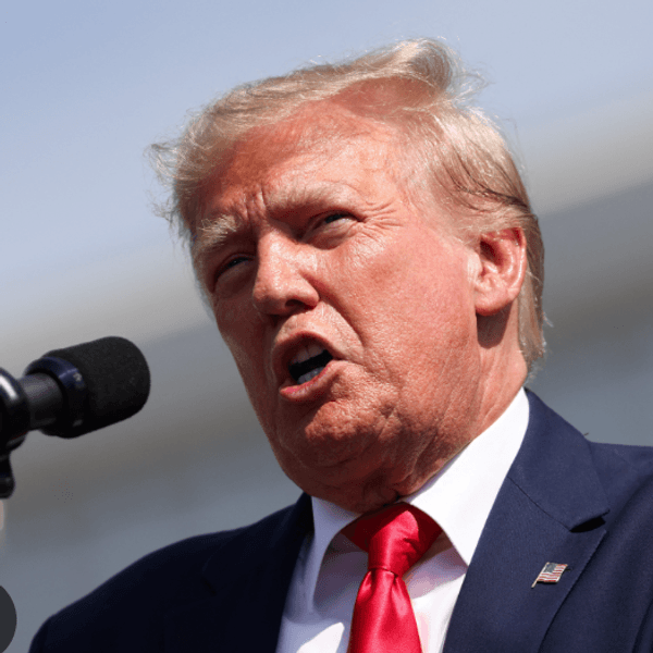 Trump Tries To Blame Would-Be Assassin On Democrats